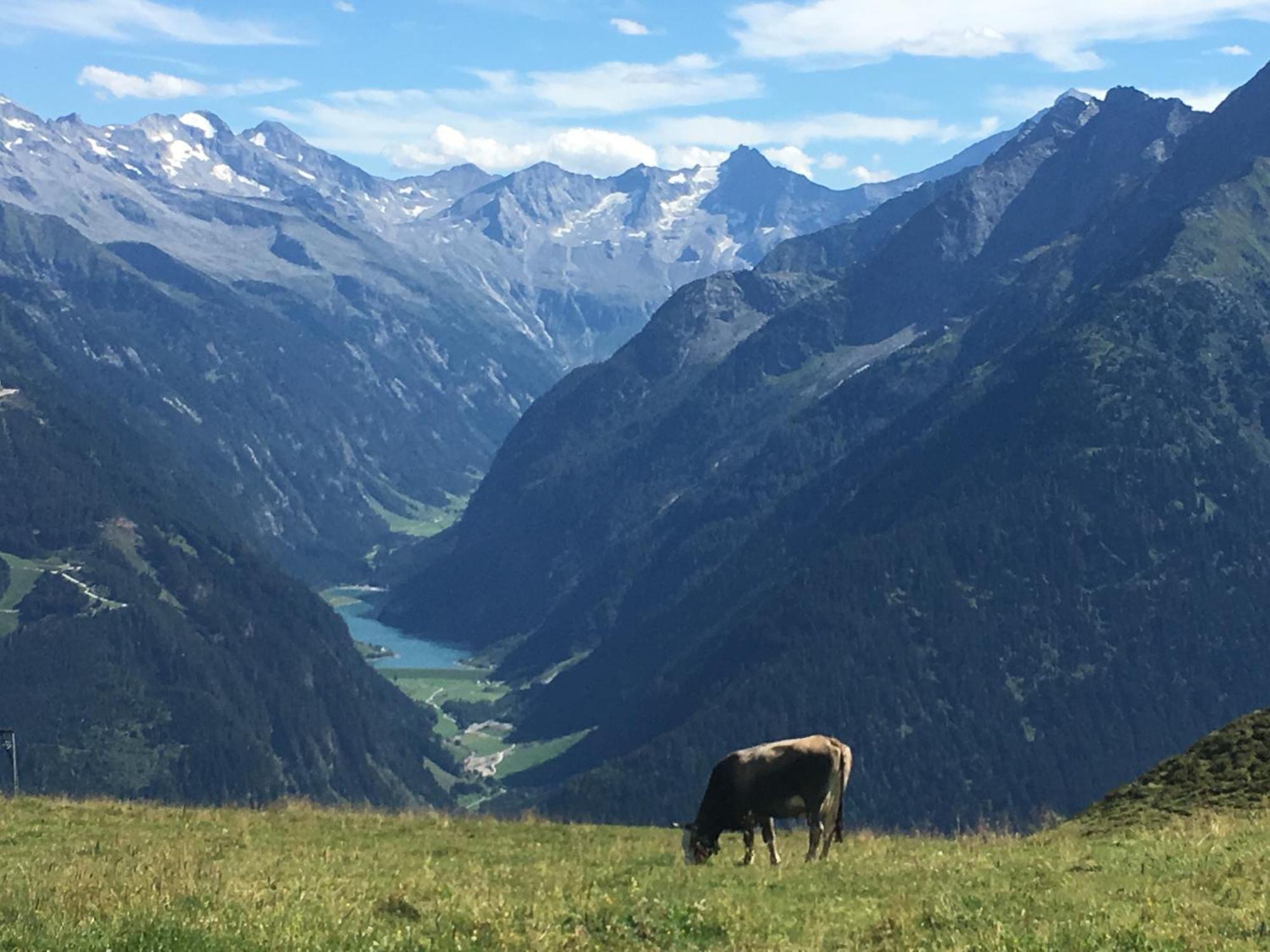 Landhaus Katharina Bis 12 Personen Mit Saunachalet Und Blick Auf Die Bergwelt Des Zillertals Hippach Bagian luar foto